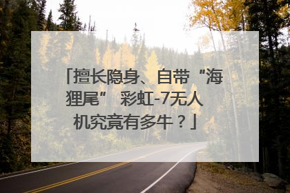 擅长隐身、自带“海狸尾” 彩虹-7无人机究竟有多牛？