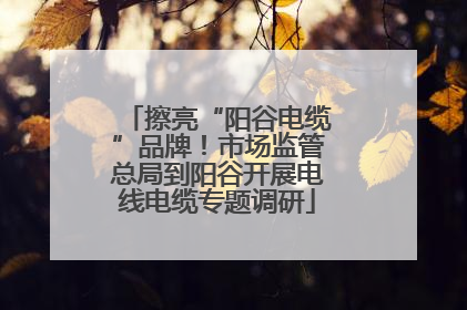擦亮“阳谷电缆”品牌！市场监管总局到阳谷开展电线电缆专题调研