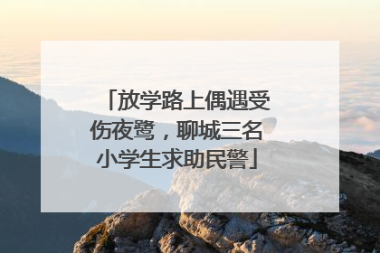 放学路上偶遇受伤夜鹭，聊城三名小学生求助民警