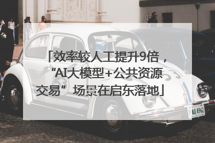 效率较人工提升9倍，“AI大模型+公共资源交易”场景在启东落地