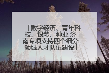 数字经济、青年科技、银龄、种业 济南专项支持四个细分领域人才队伍建设