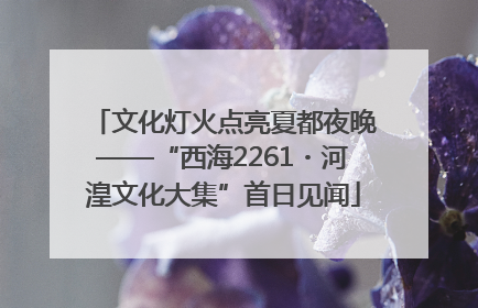 文化灯火点亮夏都夜晚——“西海2261・河湟文化大集”首日见闻