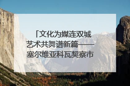 文化为媒连双城 艺术共舞谱新篇——塞尔维亚科瓦契察市代表团访问日照