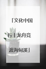 文化中国行丨龙舟竞渡海甸溪