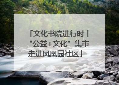 文化书院进行时丨“公益+文化”集市走进凤凰园社区