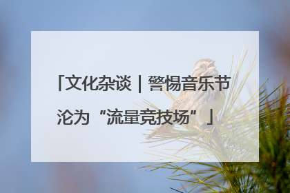 文化杂谈｜警惕音乐节沦为“流量竞技场”