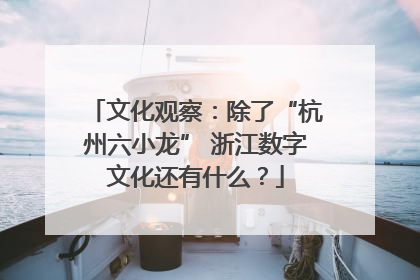 文化观察：除了“杭州六小龙” 浙江数字文化还有什么？