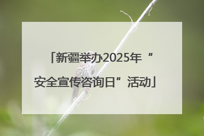 新疆举办2025年“安全宣传咨询日”活动
