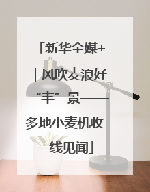 新华全媒+｜风吹麦浪好“丰”景——多地小麦机收一线见闻