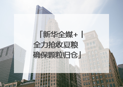 新华全媒+丨全力抢收夏粮 确保颗粒归仓