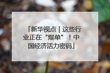新华视点｜这些行业正在“爆单”！中国经济活力密码