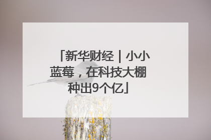 新华财经｜小小蓝莓，在科技大棚种出9个亿