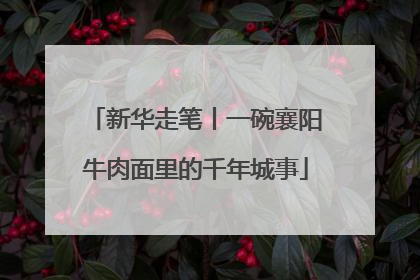 新华走笔丨一碗襄阳牛肉面里的千年城事