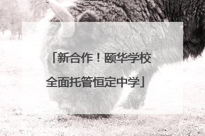 新合作！颐华学校全面托管恒定中学