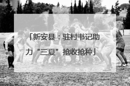 新安县：驻村书记助力“三夏”抢收抢种