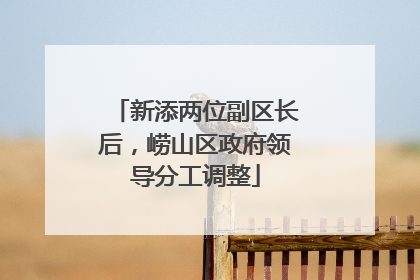 新添两位副区长后，崂山区政府领导分工调整