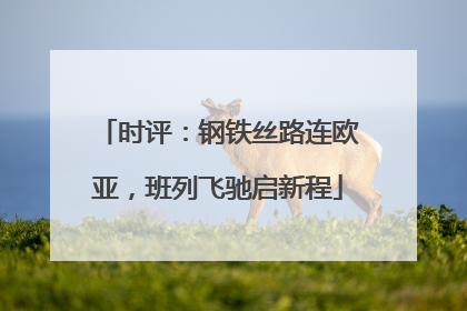 时评：钢铁丝路连欧亚，班列飞驰启新程