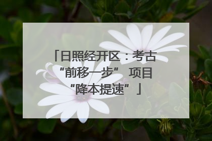 日照经开区：考古“前移一步” 项目“降本提速”