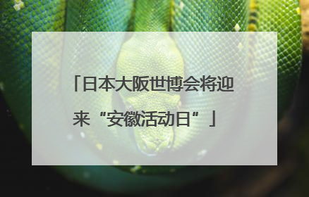 日本大阪世博会将迎来“安徽活动日”