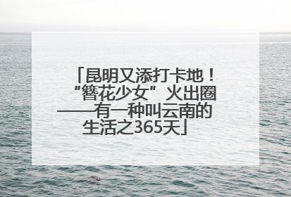 昆明又添打卡地！“簪花少女”火出圈——有一种叫云南的生活之365天