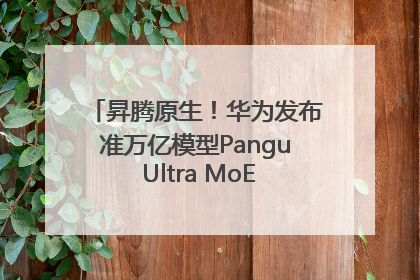 昇腾原生！华为发布准万亿模型Pangu Ultra MoE模型架构和训练细节