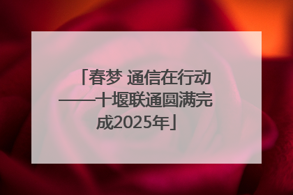 春梦 通信在行动——十堰联通圆满完成2025年