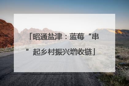 昭通盐津：蓝莓“串”起乡村振兴增收链
