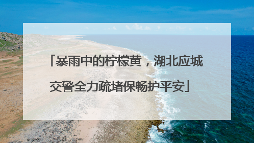 暴雨中的柠檬黄，湖北应城交警全力疏堵保畅护平安