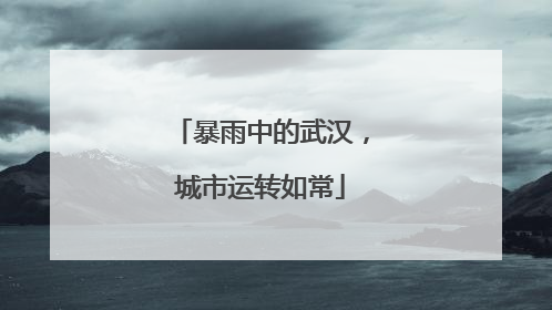 暴雨中的武汉，城市运转如常