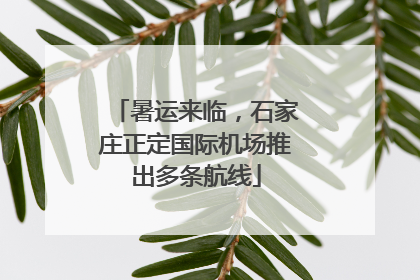 暑运来临，石家庄正定国际机场推出多条航线