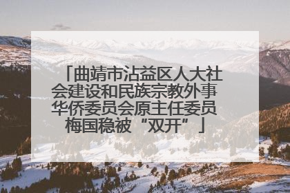 曲靖市沾益区人大社会建设和民族宗教外事华侨委员会原主任委员梅国稳被“双开”