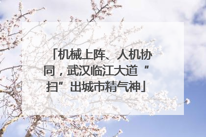 机械上阵、人机协同，武汉临江大道“扫”出城市精气神