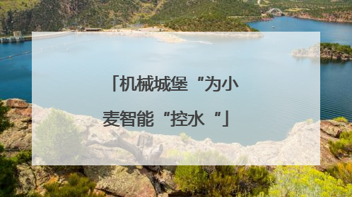 机械城堡“为小麦智能“控水“