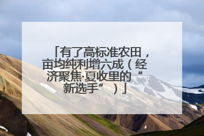 有了高标准农田，亩均纯利增六成（经济聚焦·夏收里的“新选手”）