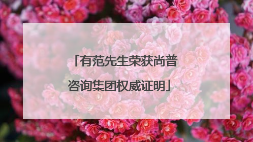 有范先生荣获尚普咨询集团权威证明