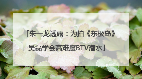 朱一龙透露：为拍《东极岛》吴磊学会高难度BTV潜水