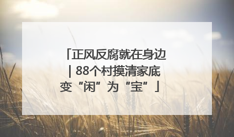 正风反腐就在身边｜88个村摸清家底变“闲”为“宝”