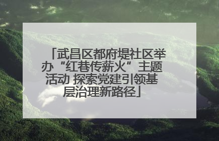 武昌区都府堤社区举办“红巷传薪火”主题活动 探索党建引领基层治理新路径