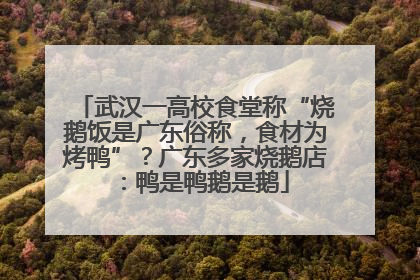 武汉一高校食堂称“烧鹅饭是广东俗称，食材为烤鸭”？广东多家烧鹅店：鸭是鸭鹅是鹅
