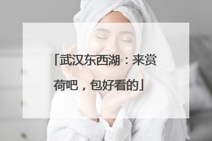 武汉东西湖：来赏荷吧，包好看的