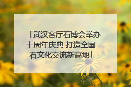 武汉客厅石博会举办十周年庆典 打造全国石文化交流新高地