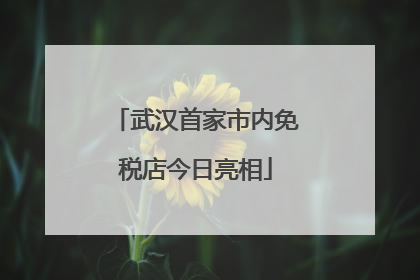 武汉首家市内免税店今日亮相
