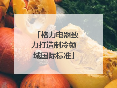 格力电器致力打造制冷领域国际标准