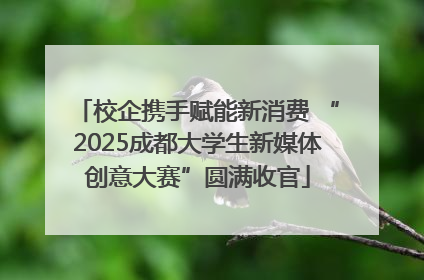 校企携手赋能新消费 “2025成都大学生新媒体创意大赛”圆满收官
