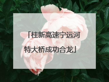 桂新高速宁远河特大桥成功合龙