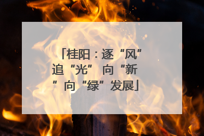 桂阳：逐“风”追“光” 向“新”向“绿”发展