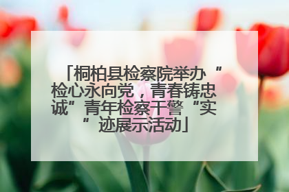 桐柏县检察院举办“检心永向党，青春铸忠诚”青年检察干警“实”迹展示活动