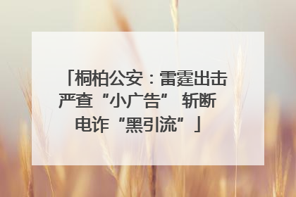 桐柏公安：雷霆出击严查“小广告” 斩断电诈“黑引流”