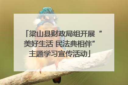 梁山县财政局组开展“美好生活 民法典相伴”主题学习宣传活动