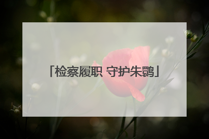 检察履职 守护朱鹮